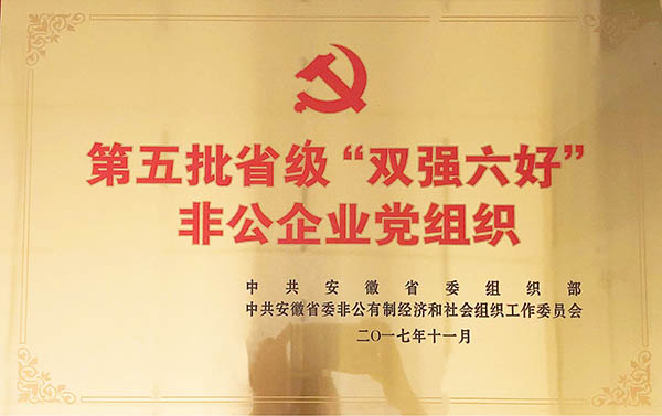 江淮電機被授予省級“雙強六好”非公企業(yè)黨組織稱(chēng)號。 