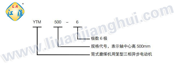 YTM磨煤機用高壓三相異步電動(dòng)機_型號意義說(shuō)明_六安江淮電機有限公司