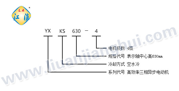 YXKS高效節能高壓三相異步電動(dòng)機_型號意義說(shuō)明_六安江淮電機有限公司