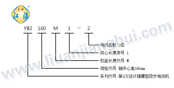 YB2高壓隔爆型三相異步電動(dòng)機_型號意義說(shuō)明_六安江淮電機有限公司