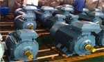 如何選擇高品質(zhì)高效節能電機？