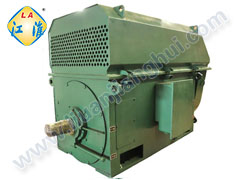 YTM磨煤機用高壓三相異步電動(dòng)機_六安江淮電機