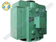 YLKK高壓立式三相異步電動(dòng)機_六安江淮電機